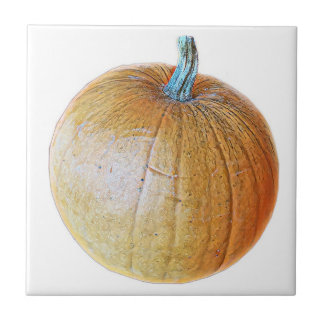 Pumpkin Tile Tegeltje