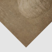 Pumpkin White Sepia Autumn Grunge Texture Tissuepapier (Detail)