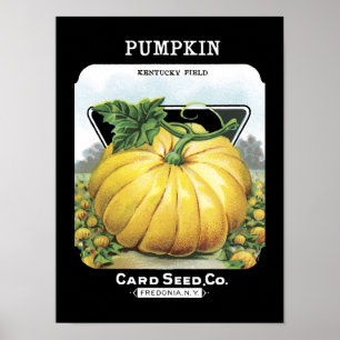 Pumpkin--zaadpakket Poster