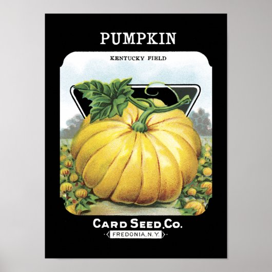 Pumpkin--zaadpakket Poster (Voorkant)