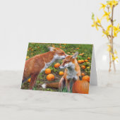 "Pumpkinpatch macule" la carte de voeux (Fleur jaune)