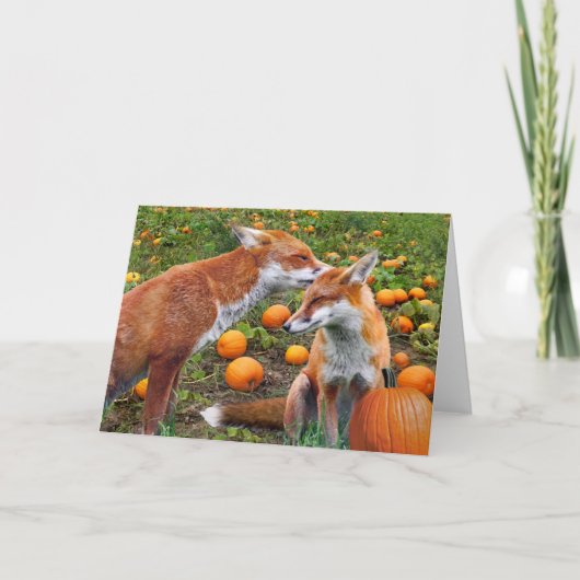 "Pumpkinpatch macule" la carte de voeux (Devant)
