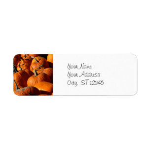 Pumpkins Adres Label