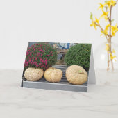 Pumpkins and Mums Autumn Blessings Kaart (Gele Bloem)