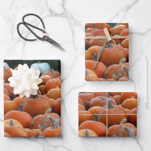 Pumpkins and Mums Autumn Harvest Photography Inpakpapier Vel