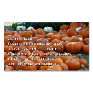Pumpkins and Mums Autumn Harvest Photography Magnetisch Visitekaartje