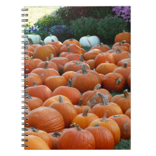 Pumpkins and Mums Autumn Harvest Photography Notitieboek