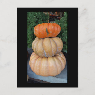 Pumpkins Autumn briefkaart