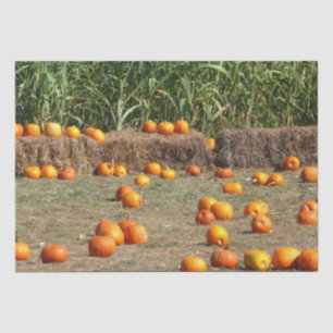 Pumpkins, Corn en Hay Autumn Fotografie Tissuepapier