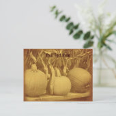 Pumpkins Cornstalks Briefkaart (Staand voorkant)