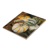 Pumpkins en Squash Stilleven Foto Tegeltje (Zijkant)