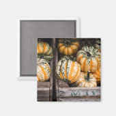 "PUMPKINS" FOOD REFRIDGERATOR MAGNET MAGNEET (Voorkant / Achterkant)
