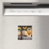 "PUMPKINS" FOOD REFRIDGERATOR MAGNET MAGNEET (Insitu (Vaatwasser))