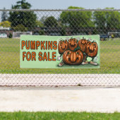 Pumpkins for Sale Spandoek (Insitu)