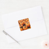 Pumpkins Galore Vierkante Sticker (Envelop)