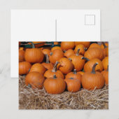 Pumpkins Herfst Briefkaart (Voorkant / Achterkant)