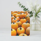 PUMPKINS HERFST BRIEFKAARTEN (Staand voorkant)