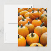 PUMPKINS HERFST BRIEFKAARTEN (Voorkant / Achterkant)