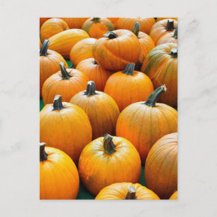 PUMPKINS HERFST BRIEFKAARTEN