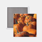 Pumpkins Magnet Magneet (Voorkant / Achterkant)