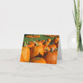 Pumpkins Roca Berry Boerderij card 4 Kaart