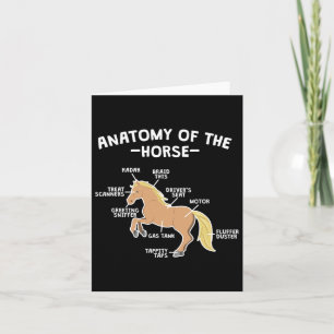 Pun-anatomie van paardenpaarden kaart