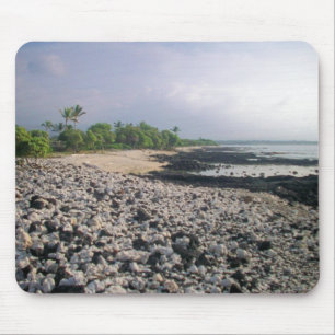 Punaluʻu Black Sand Beach Hawaii Big Island Muismat