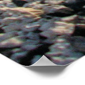 Punaluʻu Black Sand Beach Hawaii Big Island Poster (Hoek)