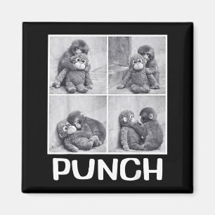 Punch baby aap meme magneet