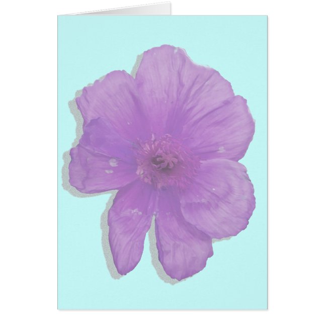 Punch violet / Fleur PopArt (Devant)