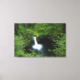 Punchbowl Falls aan Eagle Creek, Columbia River Canvas Afdruk