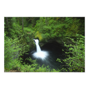 Punchbowl Falls op Eagle Creek, Columbia River Foto Afdruk