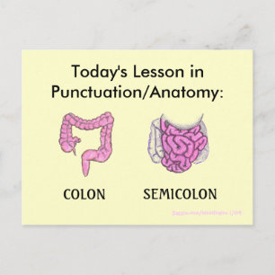 Punctuatie/Anatomie Lesson briefkaart