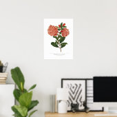 Punica granatum poster (Thuiskantoor)