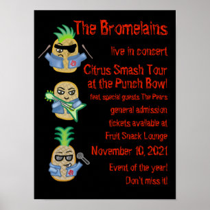 Punk anananassen van de Bromeleinen (Fake Band Pos Poster