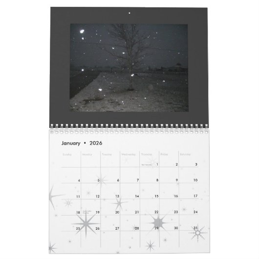 Punk fotografie 2009 kalender (Jan 2026)