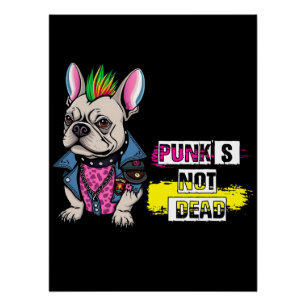 Punk is niet dood perfect poster