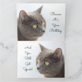 Punk met punk kaart (Binnen)