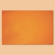 Punkin' Shell Halloween