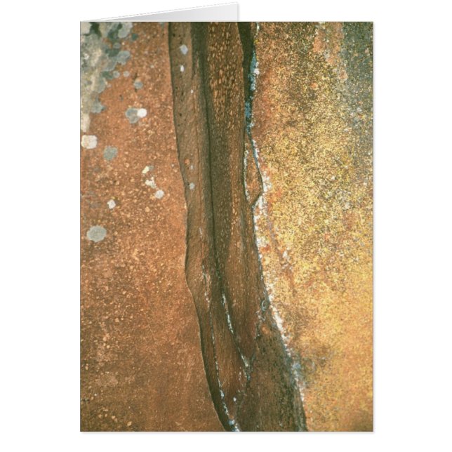 Punt #1 van de kunstenaar (Voorkant)