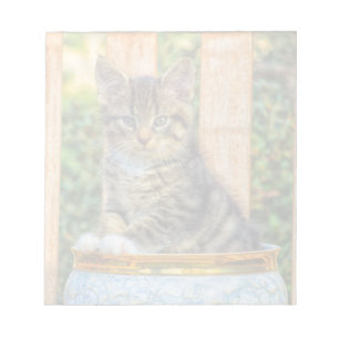 Punt van Baby Kitten Notitieblok