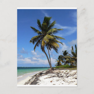 Punta Cana, Dominicaanse Republiek, kokospalm Briefkaart