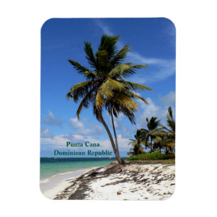 Punta Cana, Dominicaanse Republiek, kokospalm Magneet