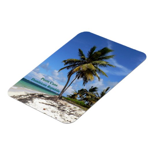 Punta Cana, Dominican Republic, coconut palm tree Magneet (Linkerzijde)