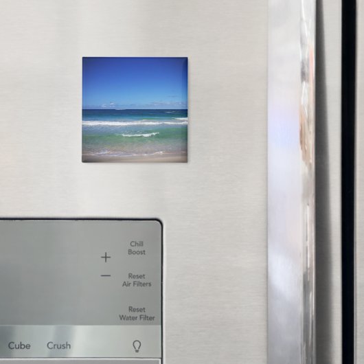 Punta Cana Zee, Dominicaanse Republiek Magneet (Insitu (Koelkast))