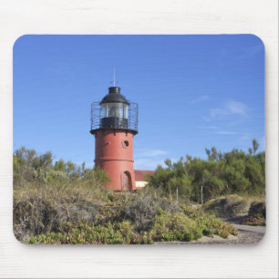 Punta Delgada, Schiereiland Valdes, Chubut Muismat