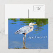 Punta Gorda, carte postale FL (Devant / Derrière)