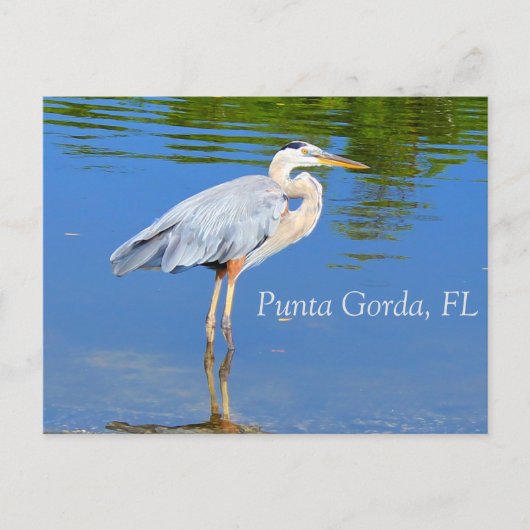 Punta Gorda, carte postale FL (Devant)