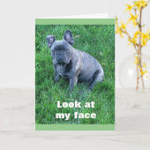 PUP AIDE À DIRE **HEUREUSE CARTE D'ANNIVERSAIRE DE (Fleur jaune)