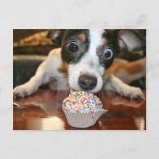 Pup Cake Postcard Briefkaart